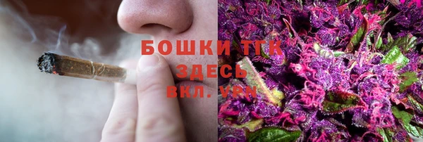 молекула духа Белокуриха
