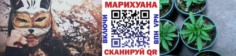 Шишки марихуана марихуана  гидра как войти  Шатура 